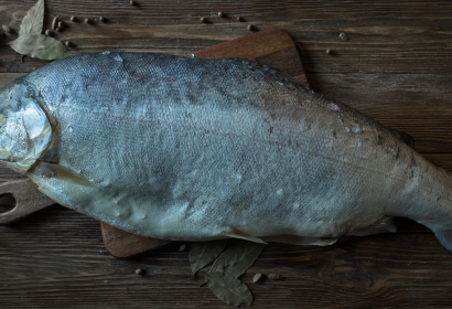 Форель охл. Мурманск